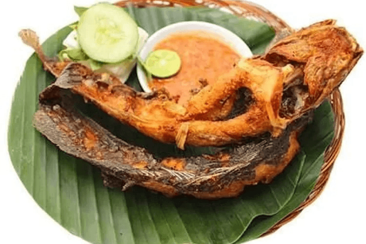 Pesona Lele: Si Ikan Lokal Tinggi Protein, Tak Kalah dengan Salmon!