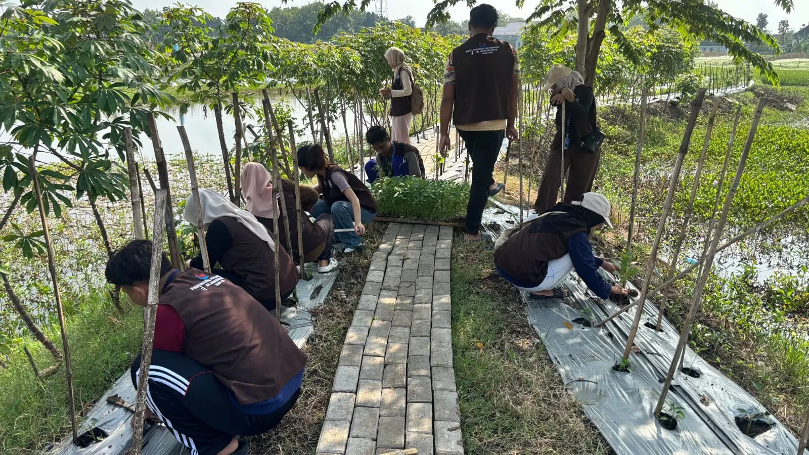 Mahasiswa KKN UPGRIS Tanam Cabai di ALE untuk Perkuat Potensi Ekonomi Desa