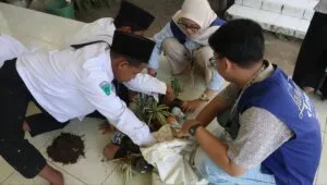 Lewat Langkah Lestari 3.0, Mahasiswa UNAIR Wujudkan Lingkungan Asri Melalui Vertical Garden di MTS The Noor Mojokerto